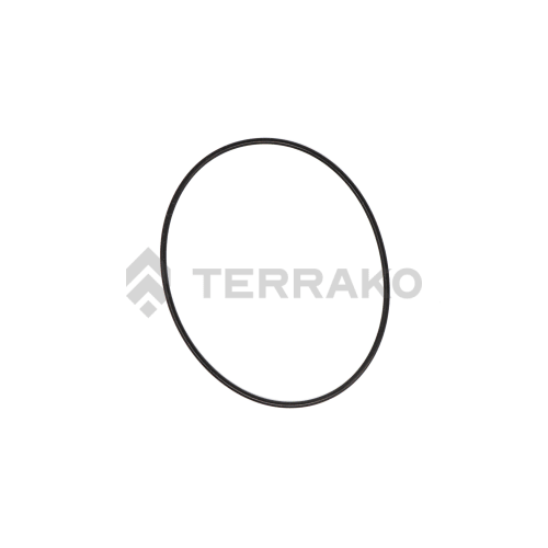 O-RING product photo image_1 L
