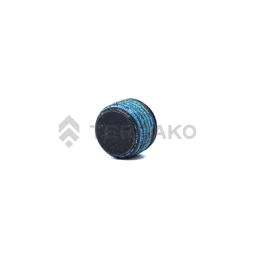  BOUCHON R1/8  photo du produit image_1 L