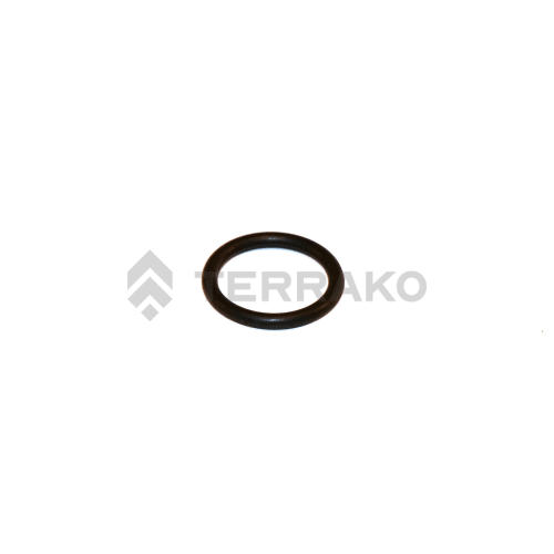  O RING  product photo image_1 L