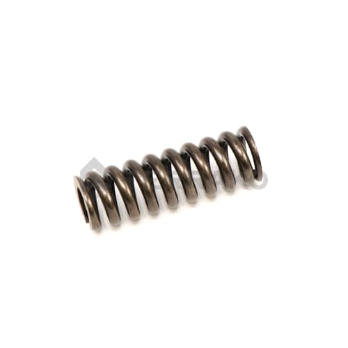  ASSY SPRING  product photo image_1 L