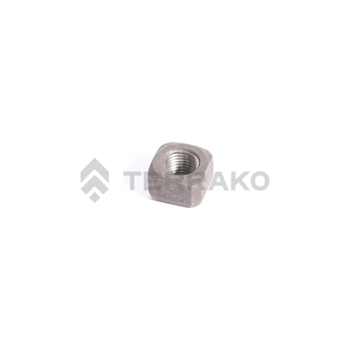  NUT  product photo image_1 L