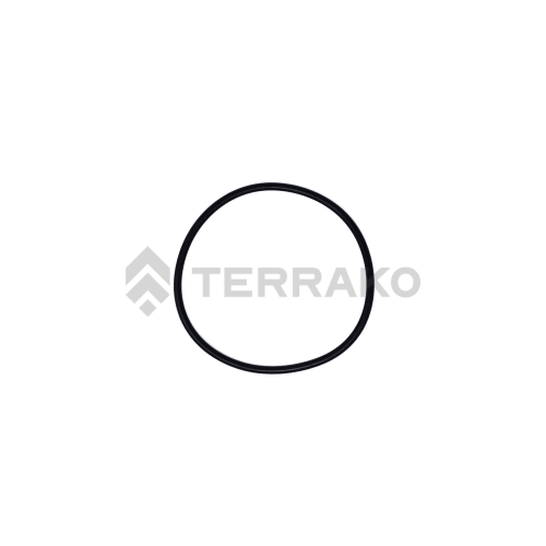  O RING  product photo image_1 L