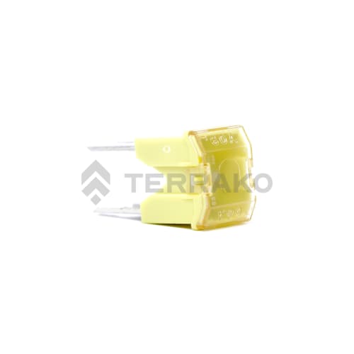  FUSIBLE (60A)  photo du produit image_2 L