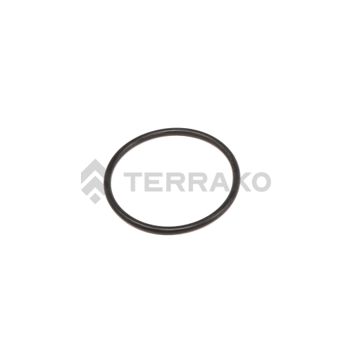  O RING  product photo image_1 L