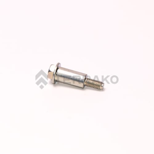  BOLT, SPECIAL, 6MM  product photo image_1 L